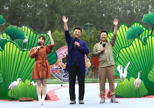 涡阳爆料丑事最新消息视频,真相令人震惊